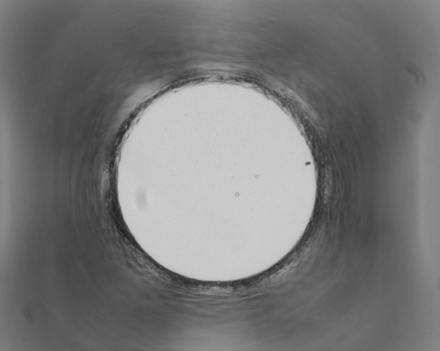 X0000111211261200908121124