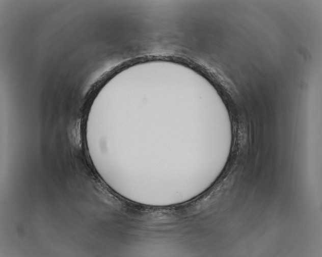 X0000111211262200908121124