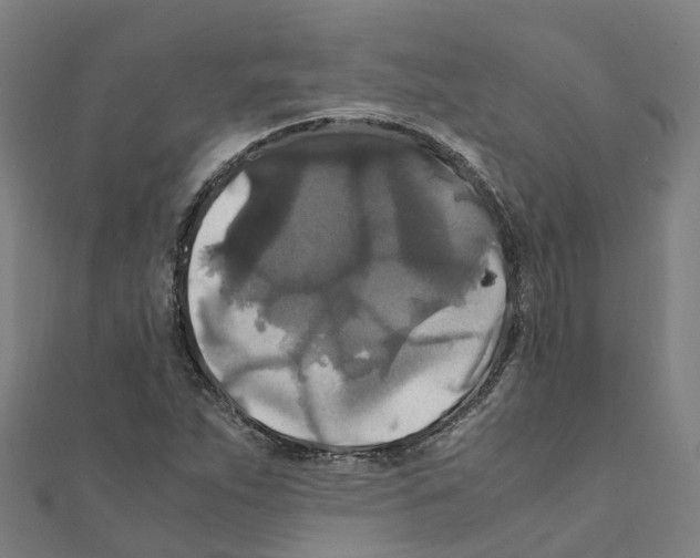 X0000111211263200908121124