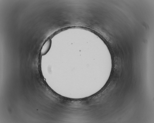 X0000111211264200908121124