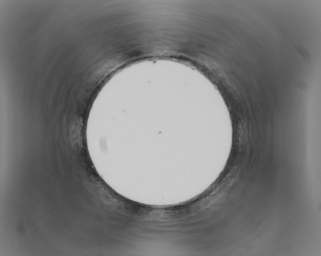 X0000111211265200908121124