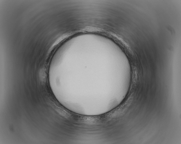 X0000111211266200908121124