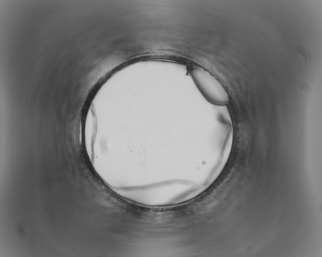 X0000111211269200908121124