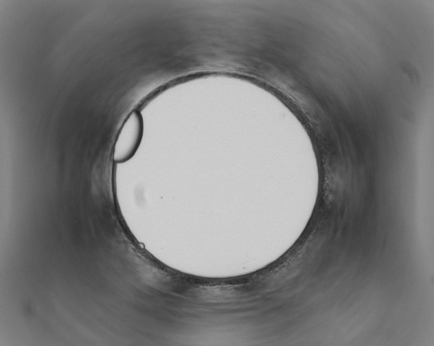 X0000111211272200908121124