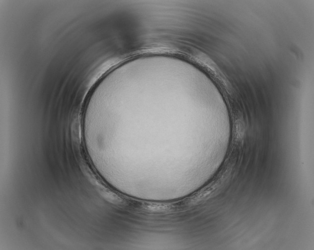 X0000111211274200908121124