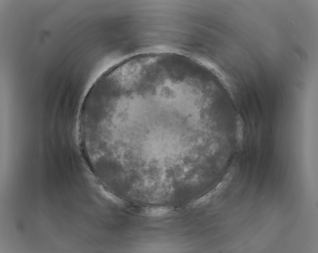 X0000111211278200908121124