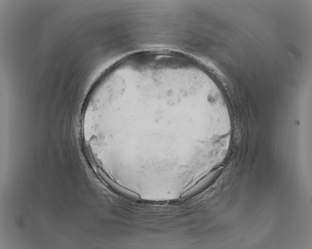 X0000111211279200908121124