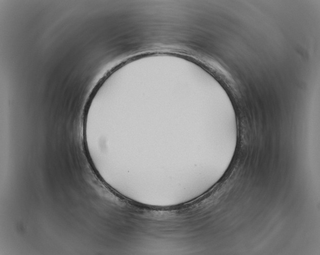 X0000111211280200908121124