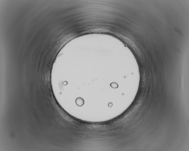 X0000111211281200908121124