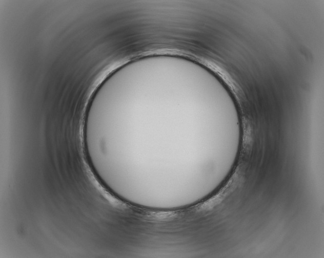 X0000111211282200908121124