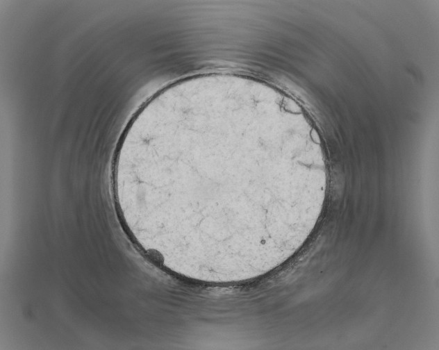 X0000111211283200908121124