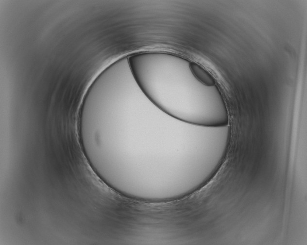 X0000111211284200908121124