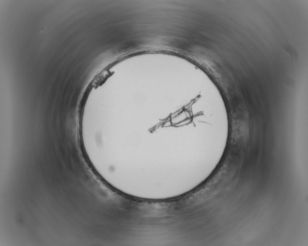 X0000111211286200908121124