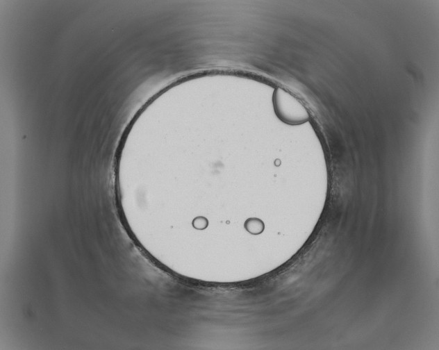 X0000111211287200908121124