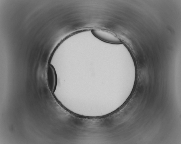 X0000111211288200908121124