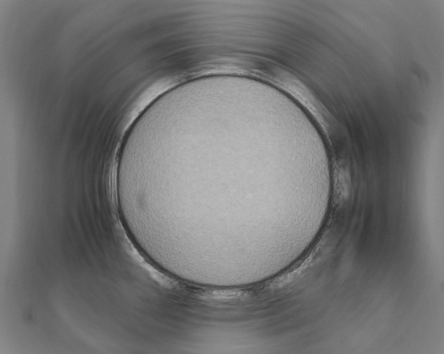 X0000111211290200908121124