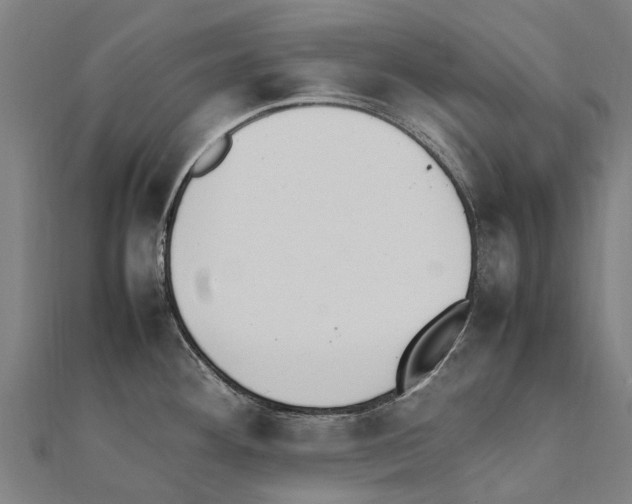 X0000111211292200908121124