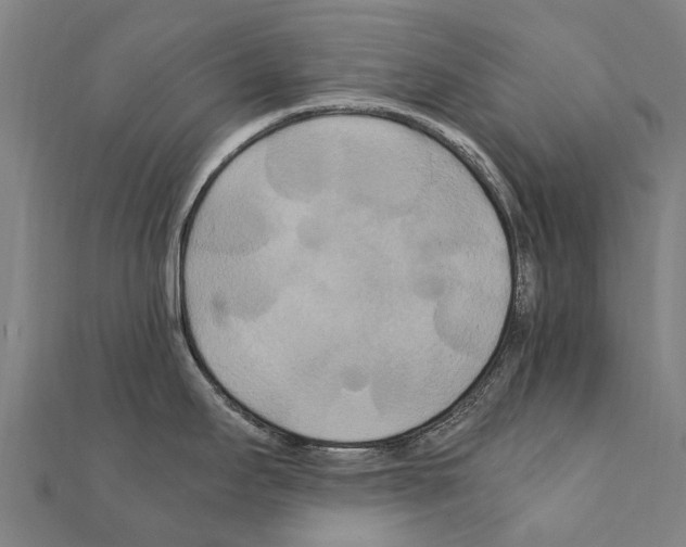 X0000111211295200908121124