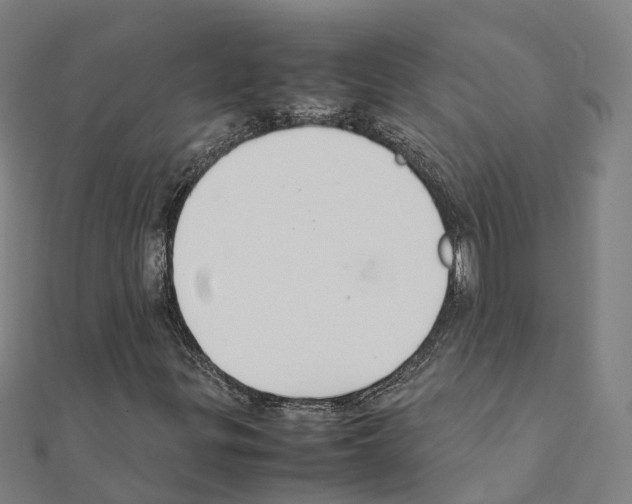 X0000111211299200908121123