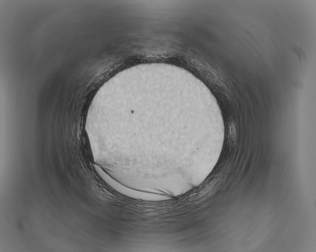 X0000111211300200908121123