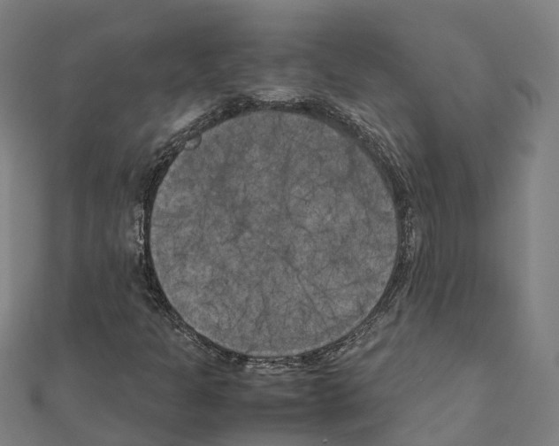 X0000111211301200908121123