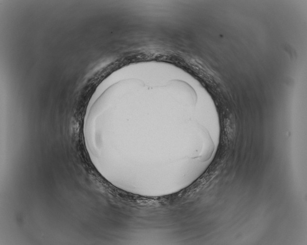 X0000111211302200908121123