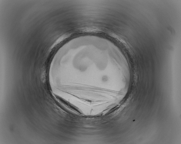 X0000111211306200908121123