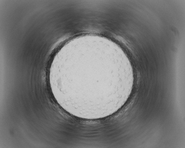 X0000111211307200908121123