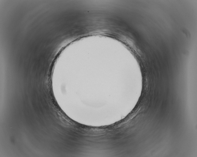 X0000111211308200908121123