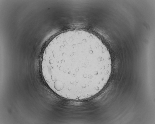 X0000111211309200908121123