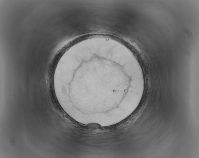 X0000111211311200908121123