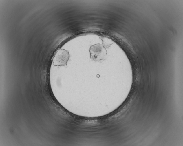 X0000111211313200908121123