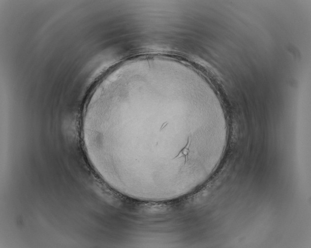 X0000111211314200908121123