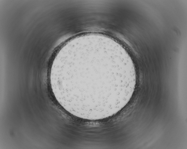 X0000111211315200908121123