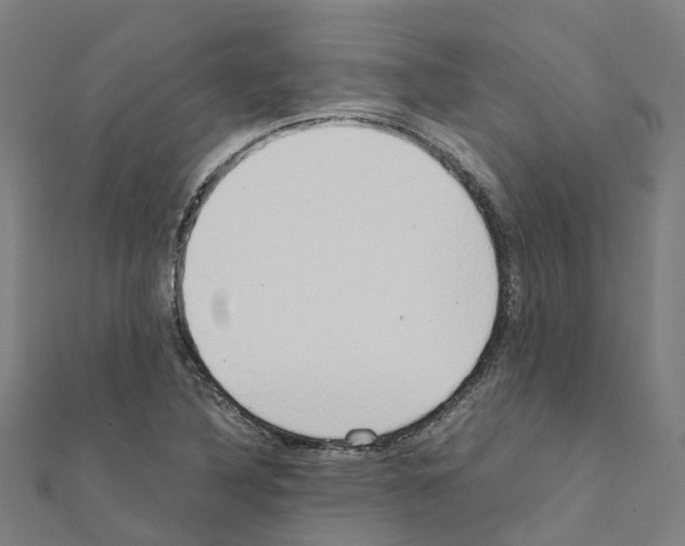 X0000111211316200908121123