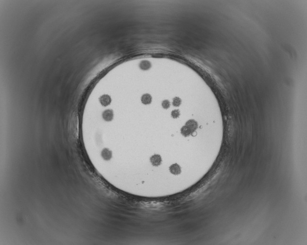 X0000111211317200908121123