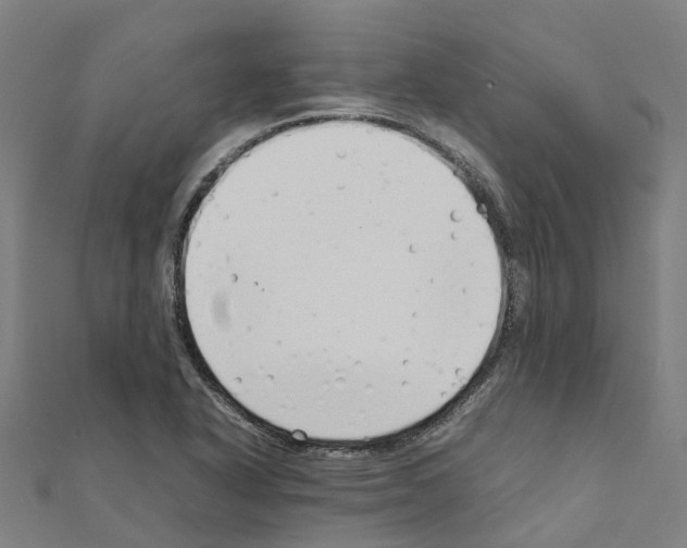 X0000111211318200908121123