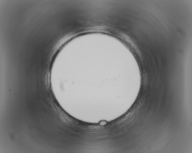 X0000111211320200908121123