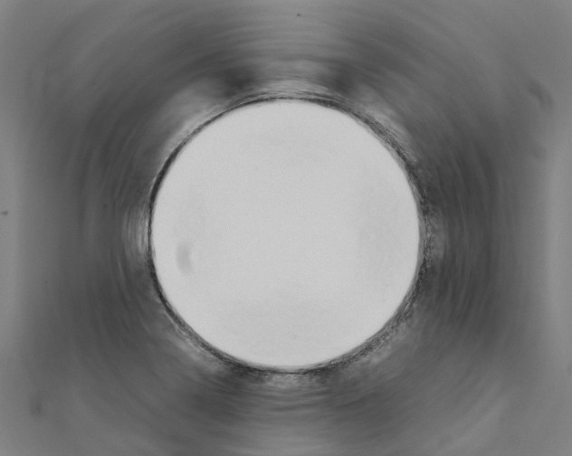 X0000111211322200908121123