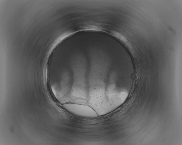 X0000111211323200908121123