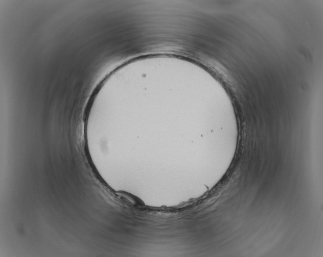 X0000111211324200908121123