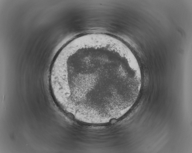 X0000111211325200908121124