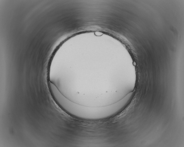 X0000111211326200908121124