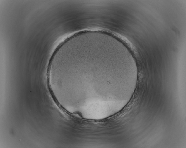 X0000111211327200908121124