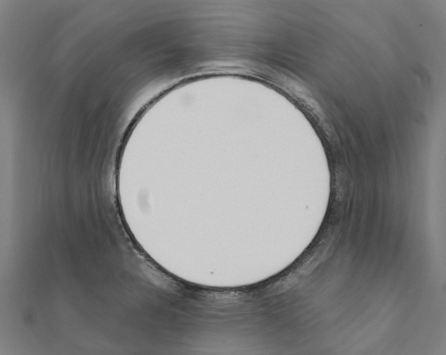 X0000111211328200908121124