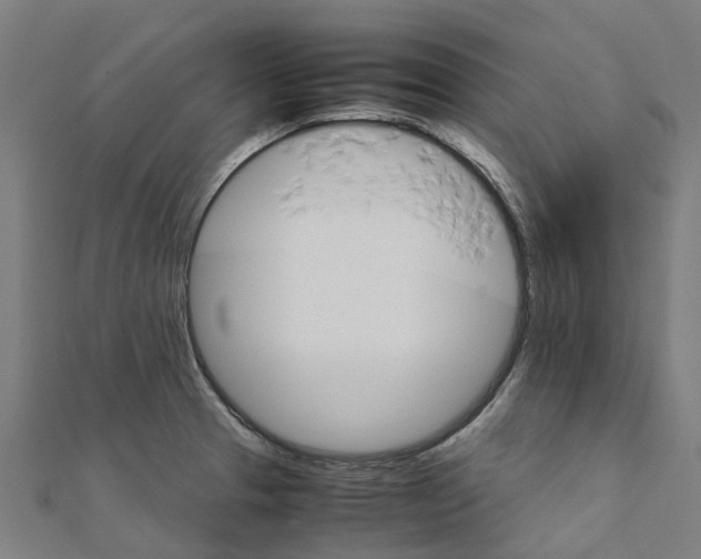 X0000111211329200908121124