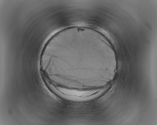 X0000111211331200908121124