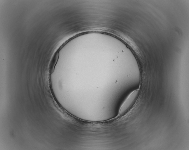 X0000111211332200908121124