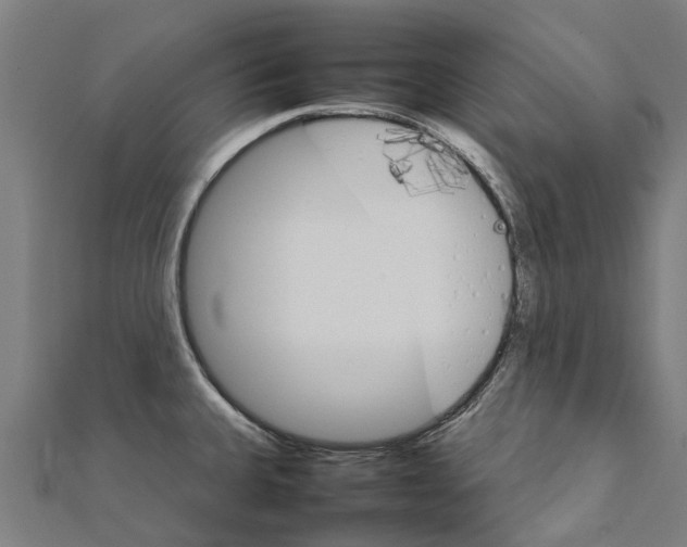 X0000111211335200908121124