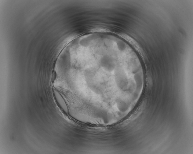 X0000111211337200908121124